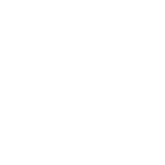 Christmas light installation service icon image 1