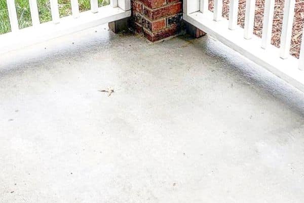 Pressure Washing 8 After