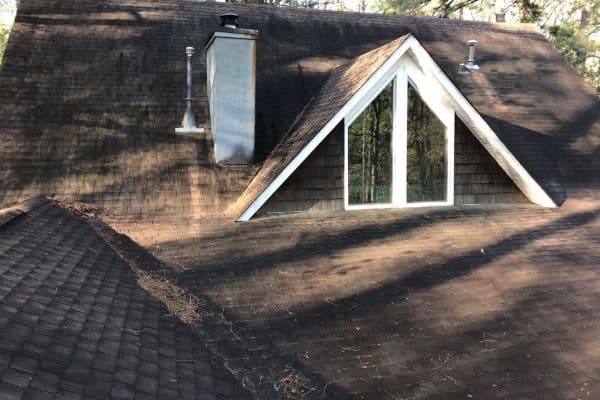 Roof Cleaning 5 Before