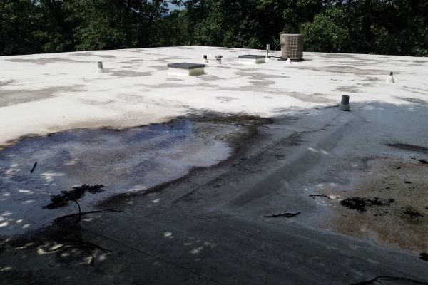 Roof Cleaning 7 Before