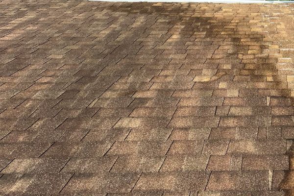 Roof Cleaning 2 Before