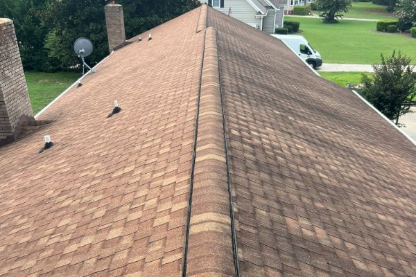 Roof Cleaning 9 Before